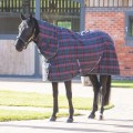 Tempest Plus 100 Stable Combo Rug