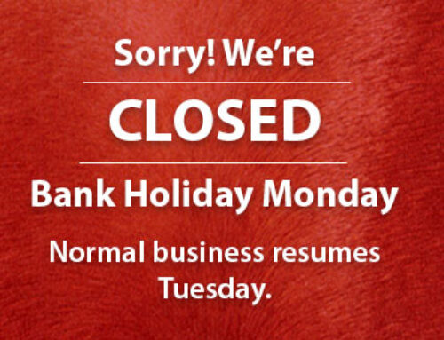 Bank Holiday Opening Hours